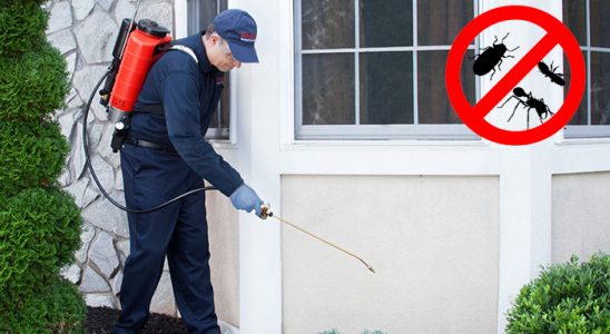 Serik Hamam Böceği İlaçlama böcek ilaçlama ve haşere kontrolü — ilaclama-tr.com